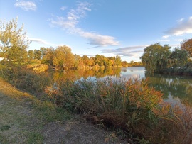 Sóstó színei