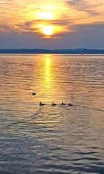 Balatonőszöd