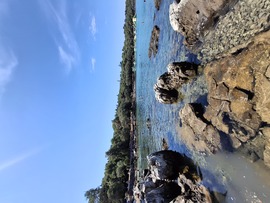 Rovinj