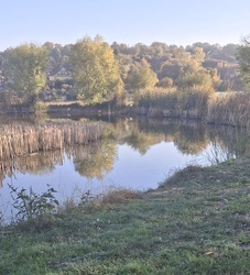 Ősz