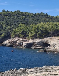Pula