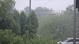 Budapest XVII.ker - Rákoskert