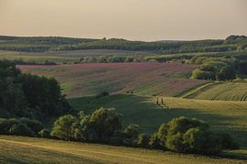 Napkeltében.