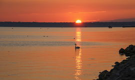 Siófok.