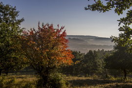 csizmadia60 fotója