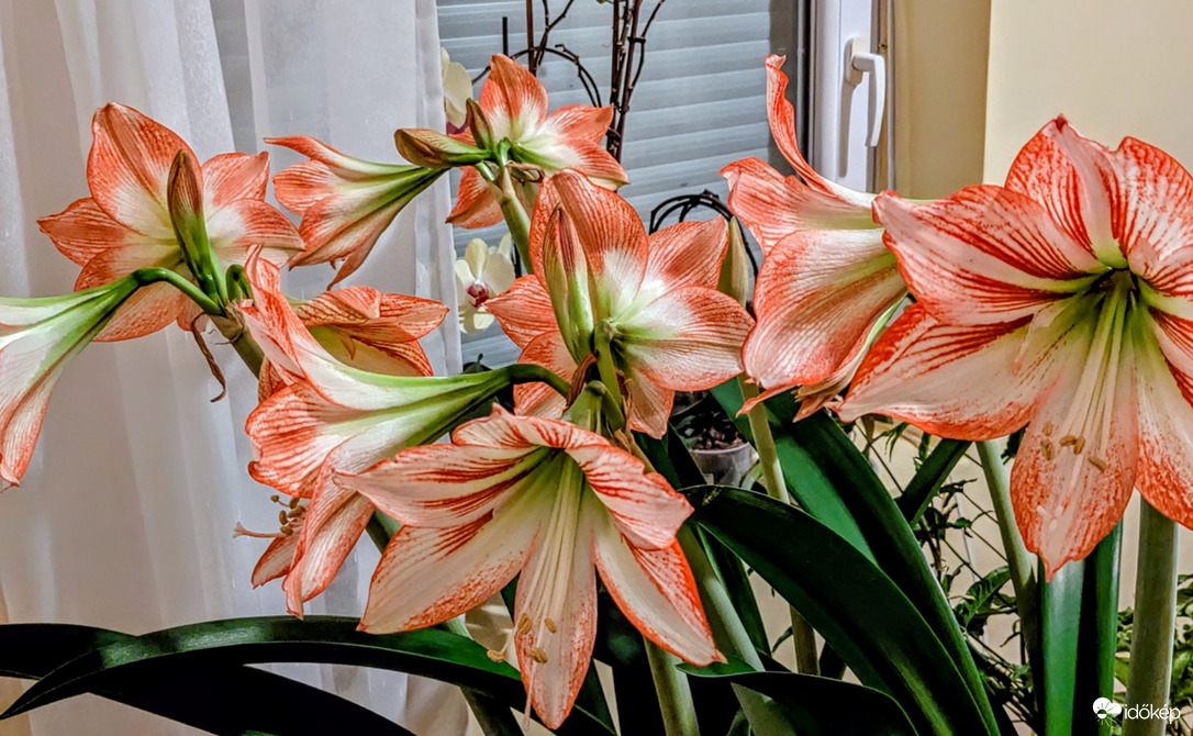 Semmi közük az időjáráshoz,