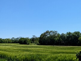 Polgárdi szinte felhőtlen, 20 C