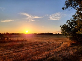 Polgárdi 