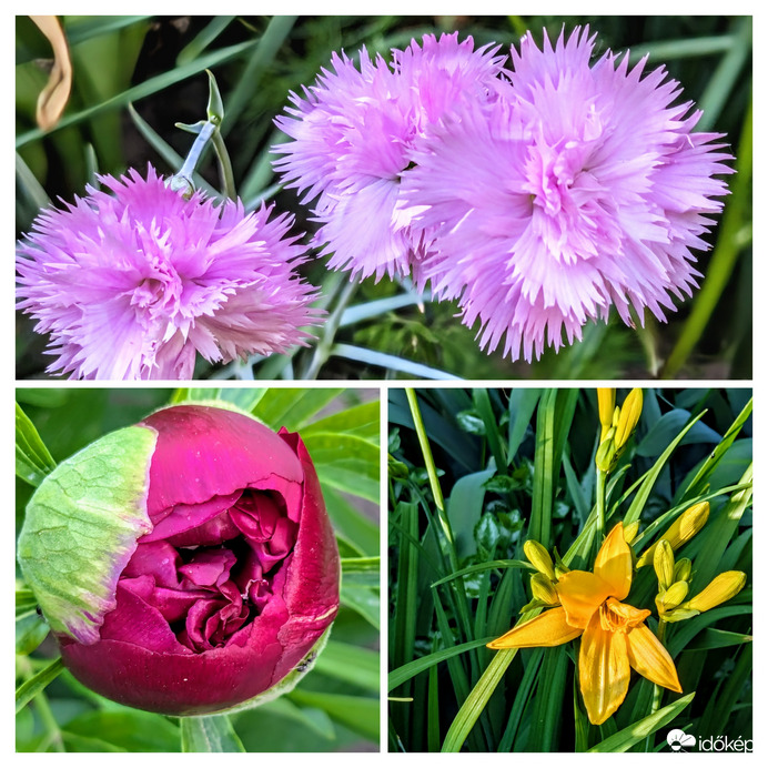 Mai szépek :)