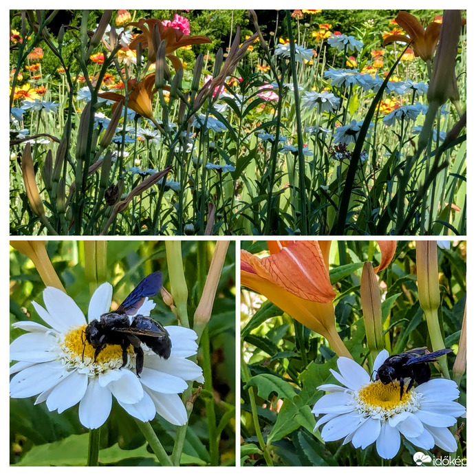 Árnyékban jobb dolgozni