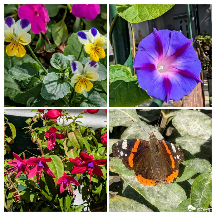 Délutáni hangulatjavító :)