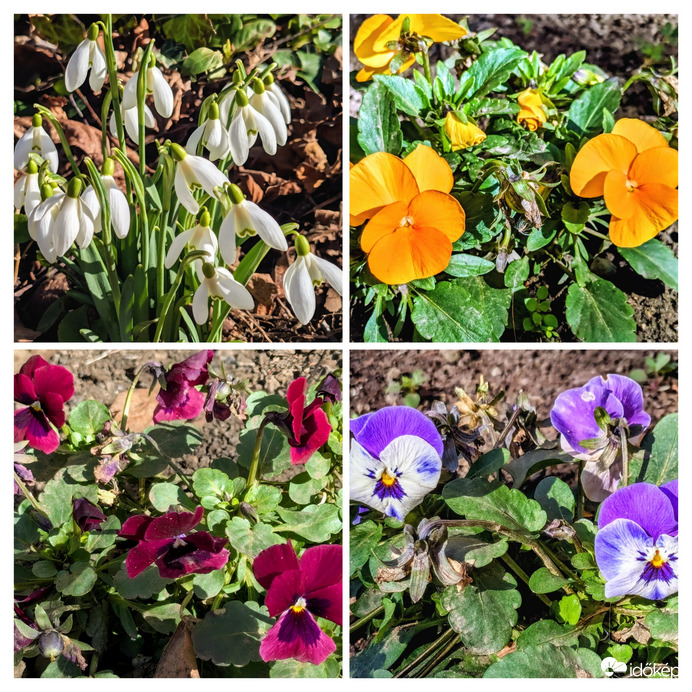 Polgárdi, napsütésben :)