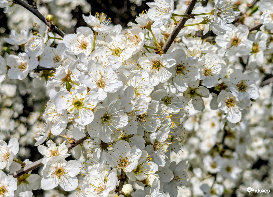 Lehet munkálkodni! :)