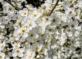 Lehet munkálkodni! :)