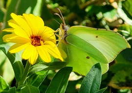 Polgárdi, derült, 26 C,