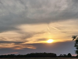 Polgárdi, párás, porszemcsés