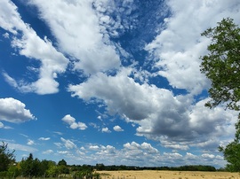 Polgárdi 