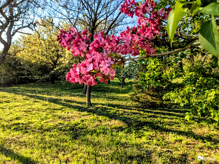 Késő délutáni fények