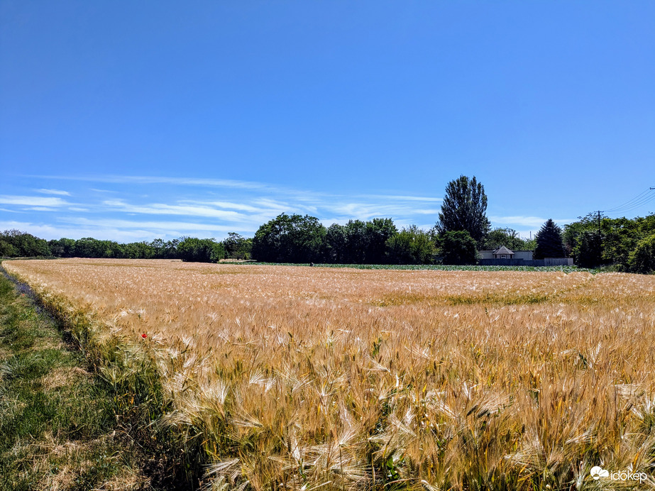 Polgárdi, derült, 26 C,