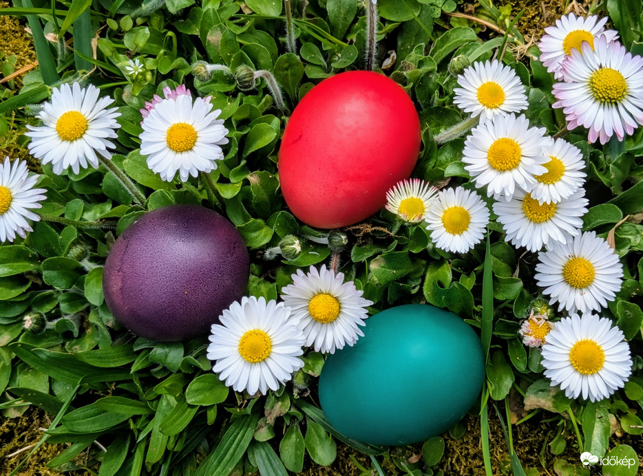 Kellemes Húsvéti ünnepeket!