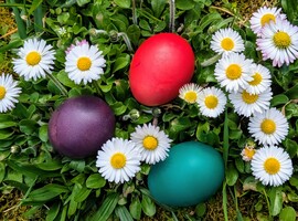 Kellemes Húsvéti ünnepeket!