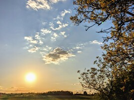 Polgárdi, lemenőben 