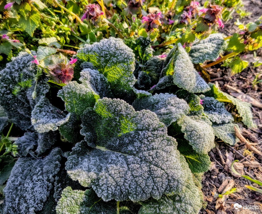 Polgárdin is fagyott