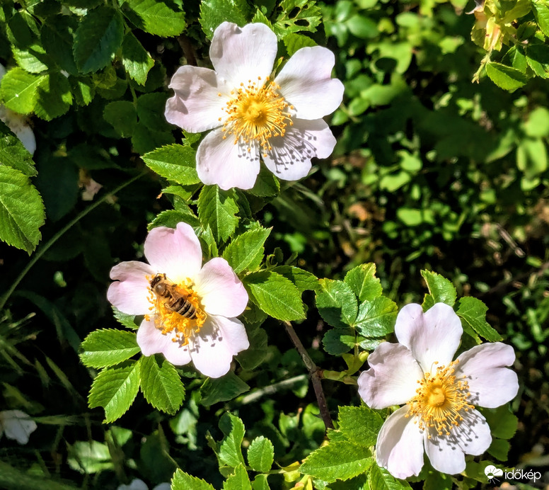 :)