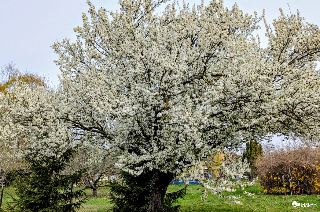 Polgárdi, erősen felhős, 17 C,