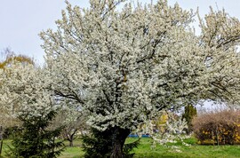 Polgárdi, erősen felhős, 17 C,