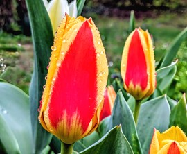 Polgárdi, fázósan,