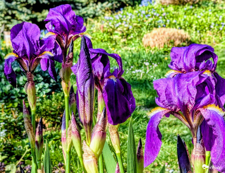 Polgárdi, már most 17 C,