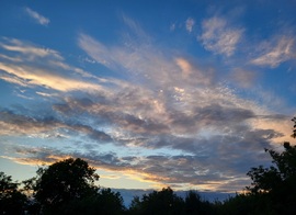 Polgárdi est