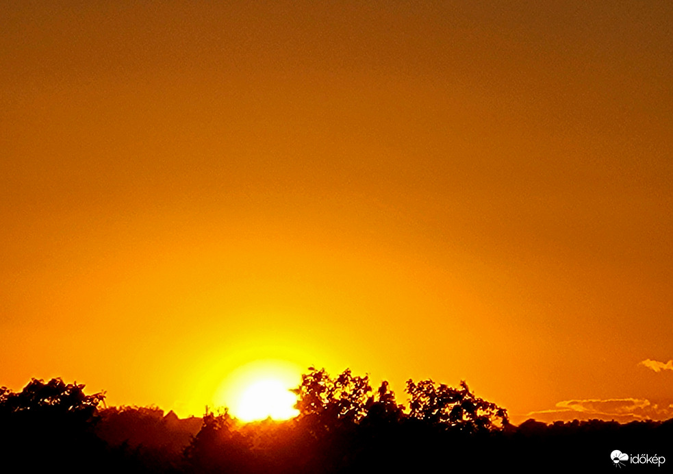 Polgárdi, narancsos 