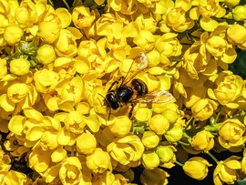 Polgárdi, kisütött a Nap,