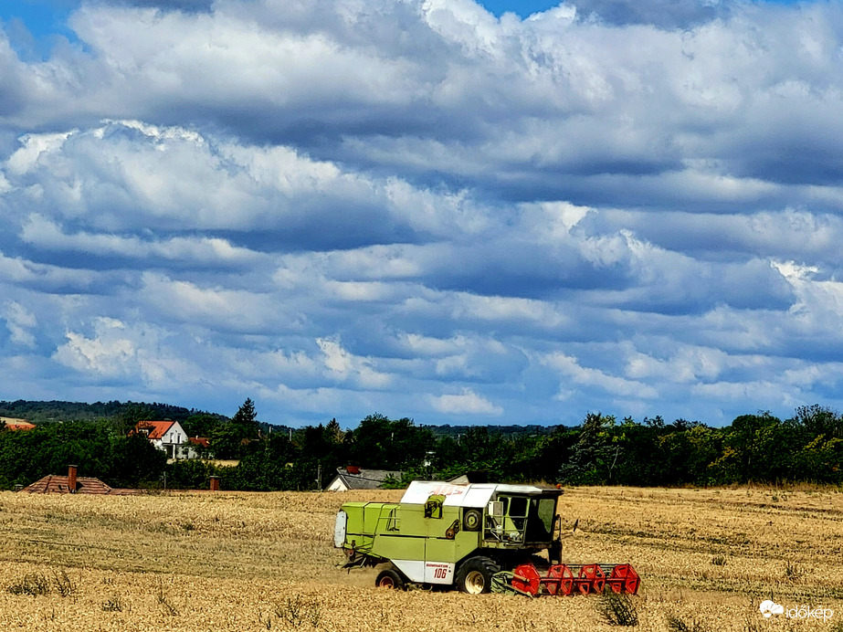 Polgárdi 