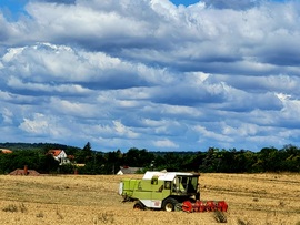 Polgárdi 