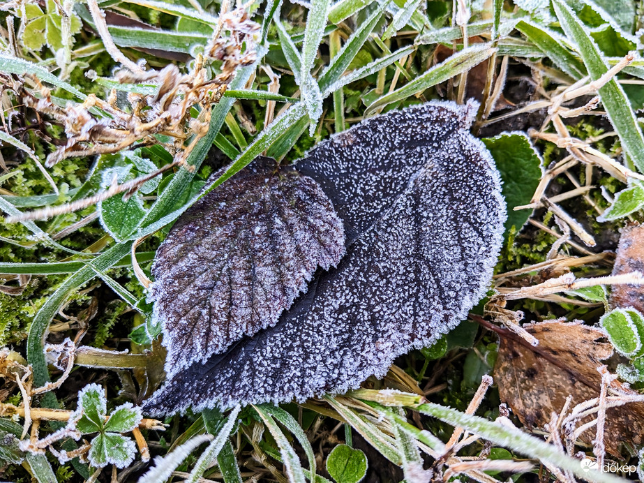 Polgárdi, -1 fok, erős szél, felhős,