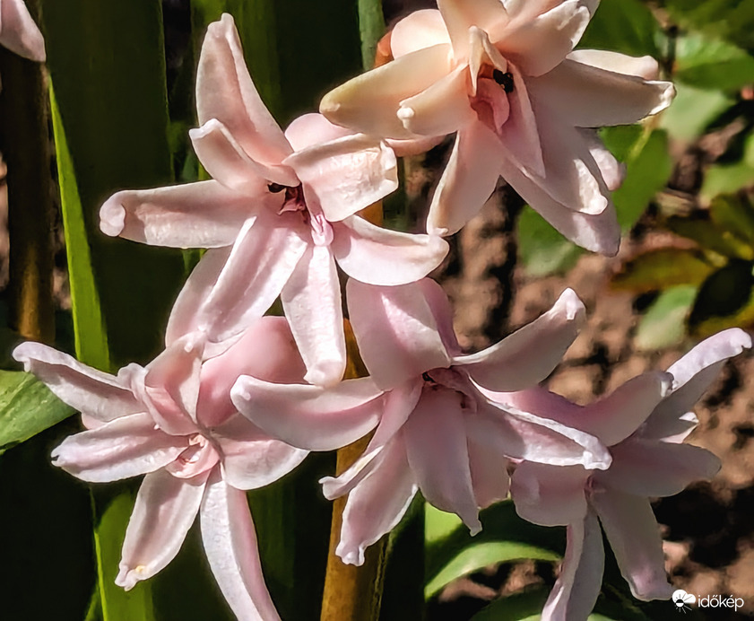 Polgárdi, tegnap még sütött :)