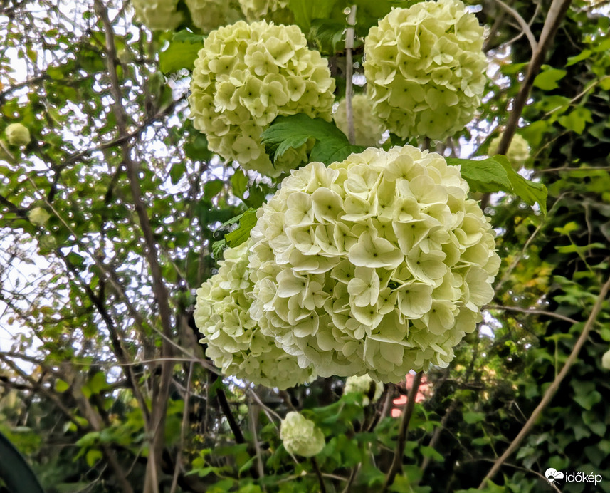 Polgárdi, borult, szeles, 14 fok,