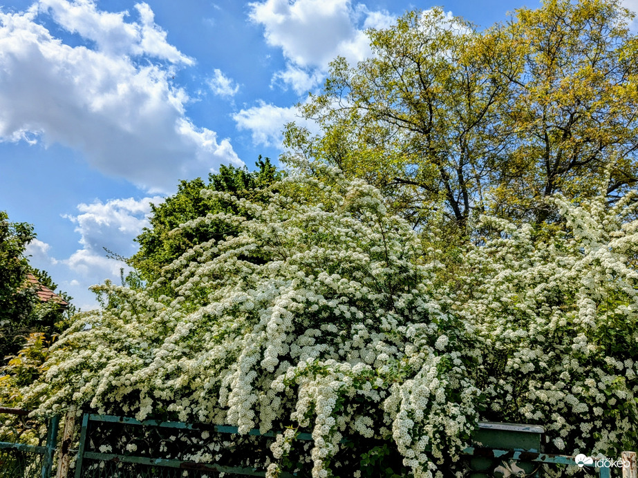 Polgárdi, közepesen felhős, 21 fok