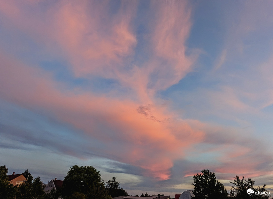 Polgárdi, rózsaszín világ 