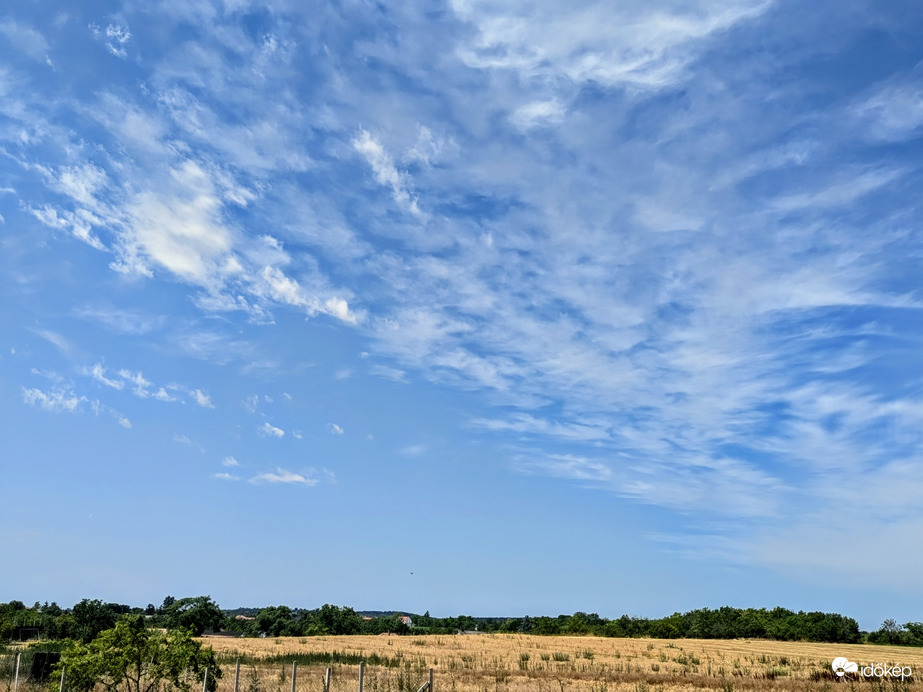 Polgárdi, fokozódó aszály :(