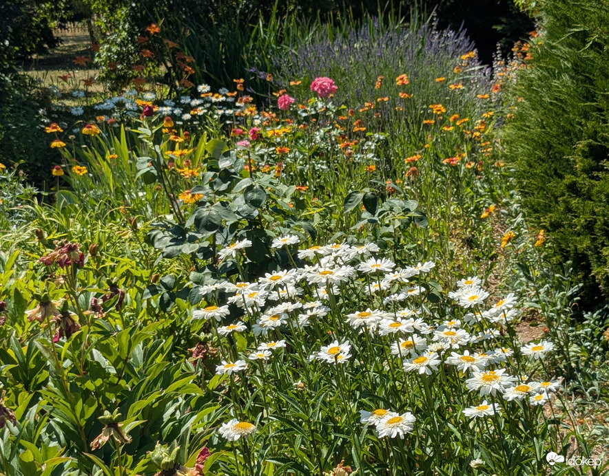 Polgárdi, tűrik a hőséget,
