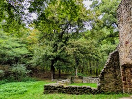 Pálos Kolostorromnál, Salföld 