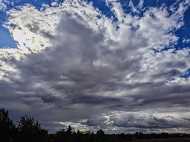Polgárdi, haragos felfők