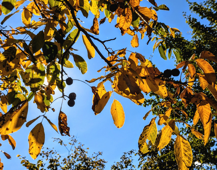 Polgárdi, szép, napos, őszi idő, 15 C