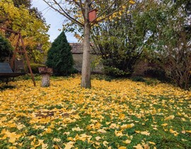 Polgárdi, erősen felhős, viharos szél, 12 C