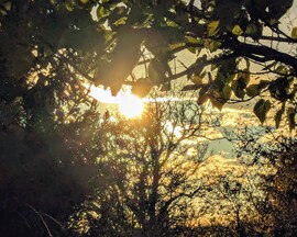 Délutáni ragyogás 