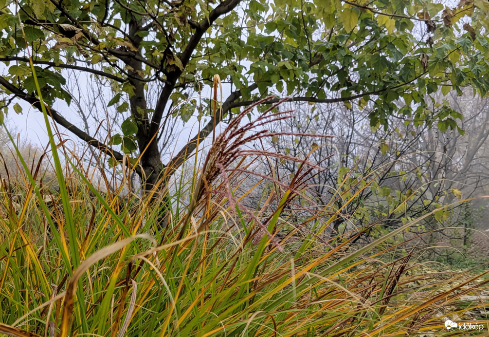 Polgárdi, szellő, köd, 6 C